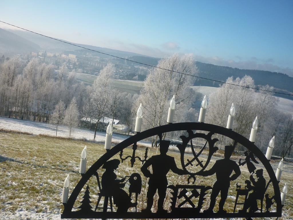 Ferienwohnung Laempelberg Klingenthal Bagian luar foto