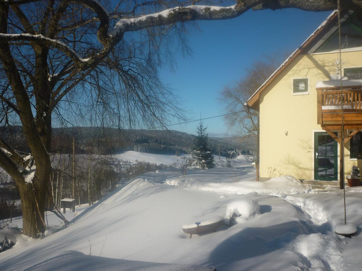 Ferienwohnung Laempelberg Klingenthal Bagian luar foto