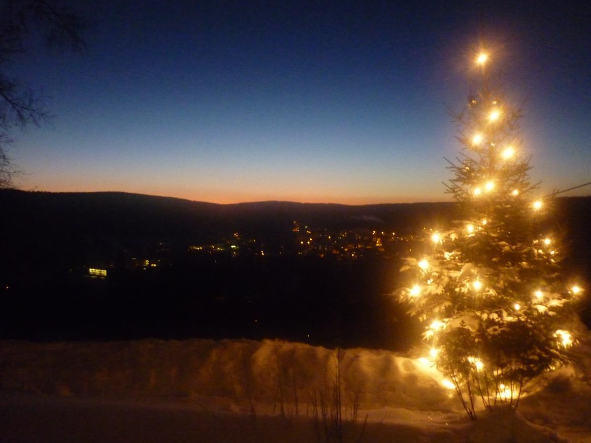 Ferienwohnung Laempelberg Klingenthal Bagian luar foto