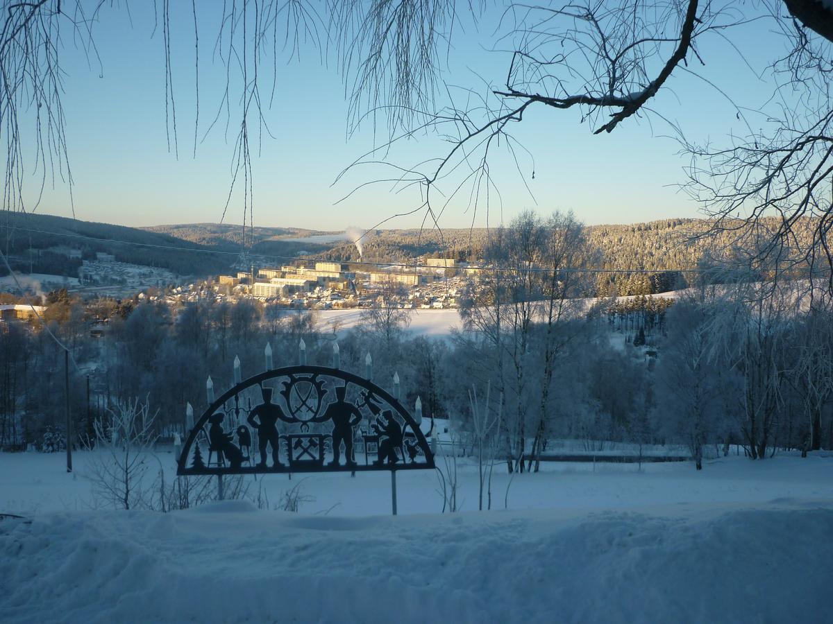 Ferienwohnung Laempelberg Klingenthal Bagian luar foto